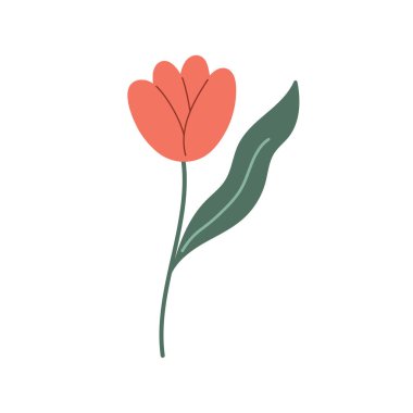 Karalama tarzında kırmızı lale çiçeği. Kırmızı gelincik çiçeği. Vektör karikatür çizimi beyaza izole edildi. Çizgi film tarzı. Vektör El taslak çizimi. Türkiye Sembolü