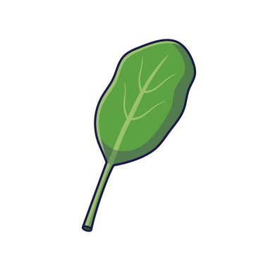 Taze bitkiler konsepti. Sevimli ıspanak yaprağı. Vektör karikatür ikonu çizimi. Çizik ıspanak stili. Beyaz arkaplanda izole.