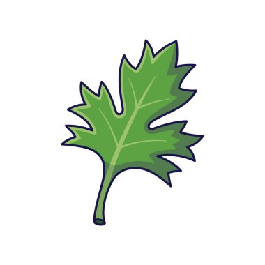 Taze bitkiler konsepti. Tatlı Kawaii maydanoz yaprağı karakteri. Vektör karikatür ikonu çizimi. Karalama tarzında maydanoz karakteri. Beyaz arkaplanda izole.