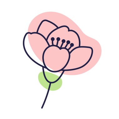 Kiraz çiçeği çiçeği. Renk lekeli taslak çizimi. Doodle tarzı. El çizimi kiraz çiçeği beyaza izole edilmiş. Sakura tomurcuk.