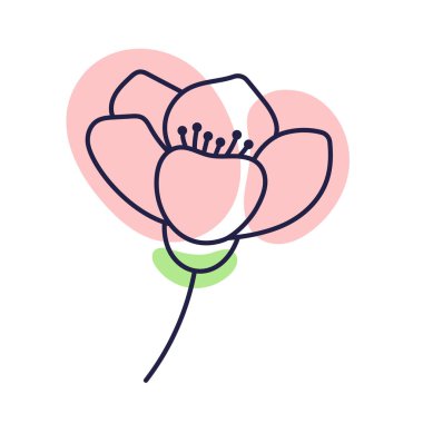 Kiraz çiçeği çiçeği. Renk lekeli taslak çizimi. Doodle tarzı. El çizimi kiraz çiçeği beyaza izole edilmiş. Sakura tomurcuk.