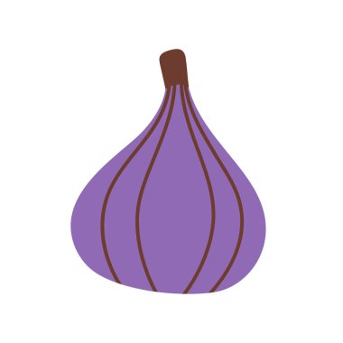 Fig Fruit illüstrasyonu. İncir ikonu. Organik vitaminler ve sağlıklı beslenme. İzole İncirler. Düz dizayn, karalama tarzı. T-kısaltması için grafiksel baskı. Vektör