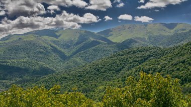 Dağ, beyaz bulutlu mavi yaz gökyüzüne karşı yeşil ormanla kaplıydı. Ermeni doğasının manzarası