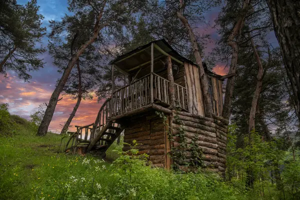 Alacsony Szög Kilátás Régi Kunyhó Zöld Erdőben Ellen Gyönyörű Naplemente — Stock Fotó