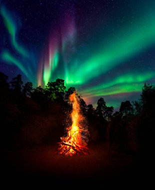 Karanlık ormanda büyük bir şenlik ateşi var. Arkasında yüksek kozalaklı ağaçların siyah siluetleri var. Güzel Aurora Borealis 'e karşı. 