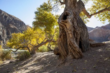 Kazakistan, yürüyüş, manzara, utah, açık hava, dağ, hedef, büyük, macera, kırmızı, manzaralı, turizm, park, ulusal, doğa, çöl, seyahat, kanyon, kaya, manzara