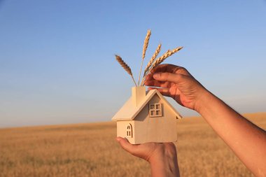 Tarlada ekmek kulakları olan dekoratif bir evi tutan eller..