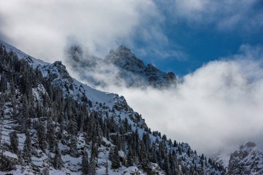 Trans-Ili Alatau, Kazakistan ve Kırgızistan 'daki Kuzey Tien Shan dağ sisteminin bir parçasıdır. Burası Tien Shan 'ın en kuzeydeki sıradağları..