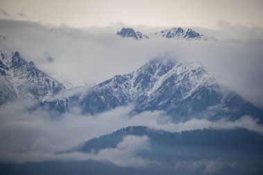 Trans-Ili Alatau, Kazakistan ve Kırgızistan 'daki Kuzey Tien Shan dağ sisteminin bir parçasıdır. Burası Tien Shan 'ın en kuzeydeki dağ sırası ve yüksekliği 4973 metre..