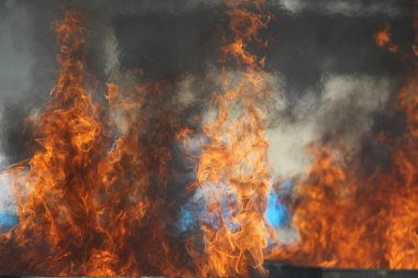 Dünya Yangın Güvenliği Şampiyonası Kazakistan 'da. 7 Eylül. 2014