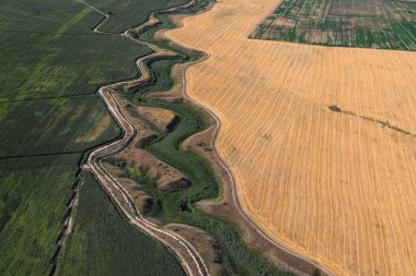Uçuş görevlisi üç bilet gösteriyor.