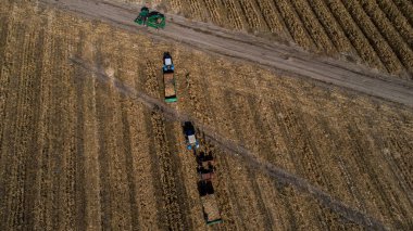 Kazakistan 'ın Almaty bölgesindeki tarlalarda makineler kullanarak mısır hasat etmek. 23 Ekim 2018