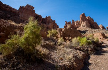 Charyn Kanyonu, Kazakistan 'da Charyn Nehri boyunca uzanan 154 km uzunluğunda bir kanyondur. Kanyon Almaty şehrinin 195 km doğusunda yer almaktadır..