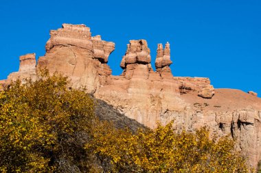 Charyn Kanyonu, Kazakistan 'da Charyn Nehri boyunca uzanan 154 km uzunluğunda bir kanyondur. Kanyon Almaty şehrinin 195 km doğusunda yer almaktadır..