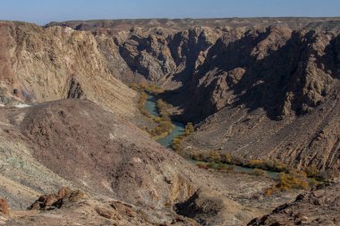 Charyn Kanyonu, Kazakistan 'da Charyn Nehri boyunca uzanan 154 km uzunluğunda bir kanyondur. Kanyon Almaty şehrinin 195 km doğusunda yer almaktadır..