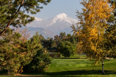 Sarı ağaçlar Almaty 'de bir golf sahasında duruyor.