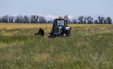 Bölgede bir traktör tarlayı sürüyor. 9 Haziran 2015