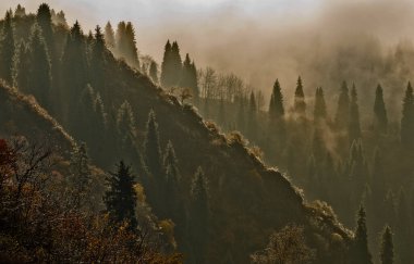Kazakistan 'ın Almaty kenti yakınlarındaki Trans-Ili Alatau dağlarında sonbahar mevsimi.