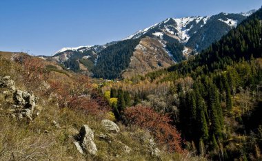 Kazakistan 'ın Almaty kenti yakınlarındaki Trans-Ili Alatau dağlarında sonbahar mevsimi.