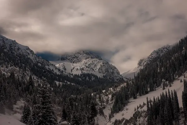 Kazakistan 'ın Almaty kenti yakınlarındaki Tien Shan' ın kuzeybatısındaki Zailiysky Alatau sıradağları..