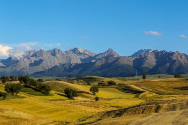 Çin 'deki Xinjiang' da güzel sonbahar tarlaları.