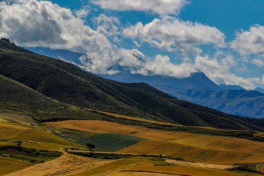 Çin 'deki Xinjiang' da güzel sonbahar tarlaları.