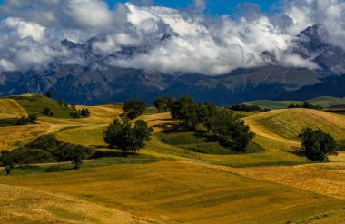 Çin 'deki Xinjiang' da güzel sonbahar tarlaları.