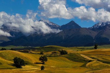 Çin 'deki Xinjiang' da güzel sonbahar tarlaları.