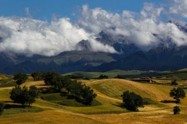 Çin 'deki Xinjiang' da güzel sonbahar tarlaları.