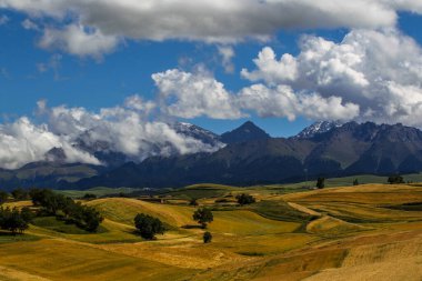 Çin 'deki Xinjiang' da güzel sonbahar tarlaları.