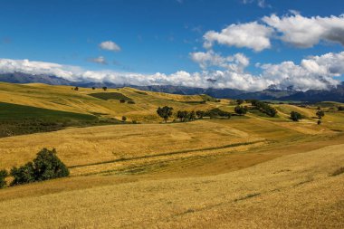 Çin 'deki Xinjiang' da güzel sonbahar tarlaları.