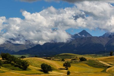 Çin 'deki Xinjiang' da güzel sonbahar tarlaları.