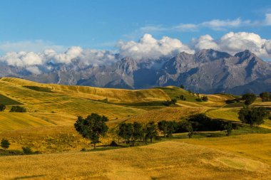 Çin 'deki Xinjiang' da güzel sonbahar tarlaları.