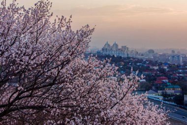 Almaty, Kazakistan 'ın en büyük metropolü Trans-Ili Alatau dağlarının eteklerinde kurulmuştur..