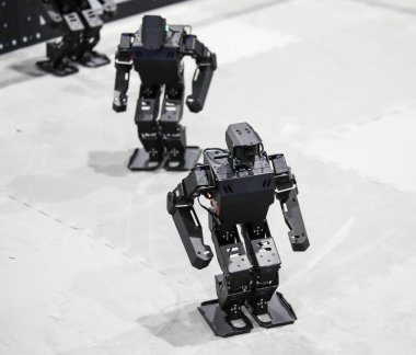 Almaty 2025 'teki Dijital Forum, Kazakistan. 01.31 2025. 