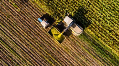 Güzel bir dünyevi manzaraya sahip bir uçaktan manzara.
