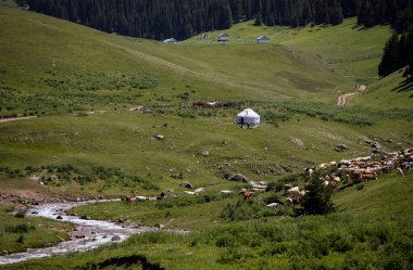 Asy Platosu, Kazakistan 'ın Almaty bölgesindeki Ili-Alatau Ulusal Parkı' nda bulunan eşsiz ve güzel bir doğal oluşum.. 