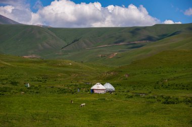 Asy Platosu, Kazakistan 'ın Almaty bölgesindeki Ili-Alatau Ulusal Parkı' nda bulunan eşsiz ve güzel bir doğal oluşum.. 