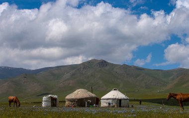 Asy Platosu, Kazakistan 'ın Almaty bölgesindeki Ili-Alatau Ulusal Parkı' nda bulunan eşsiz ve güzel bir doğal oluşum.. 