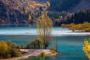 Issyk Gölü, Kazakistan 'da Issyk Nehri tarafından beslenen bir göldür..