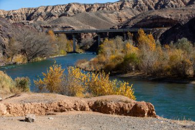 Charyn Eyaleti Ulusal Doğa Parkı, Kazakistan 'da Charyn Nehri boyunca ve Charyn Kanyonu' nu kapsayan ulusal bir parktır..