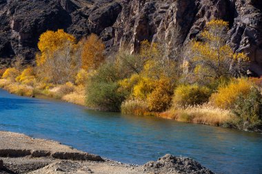 Charyn Eyaleti Ulusal Doğa Parkı, Kazakistan 'da Charyn Nehri boyunca ve Charyn Kanyonu' nu kapsayan ulusal bir parktır..