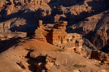 Charyn Eyaleti Ulusal Doğa Parkı, Kazakistan 'da Charyn Nehri boyunca ve Charyn Kanyonu' nu kapsayan ulusal bir parktır..