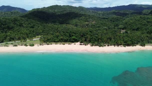 Playa Moron Limon Samana Plaża Republice Dominikańskiej Filmik Dronami Lotniczymi — Wideo stockowe
