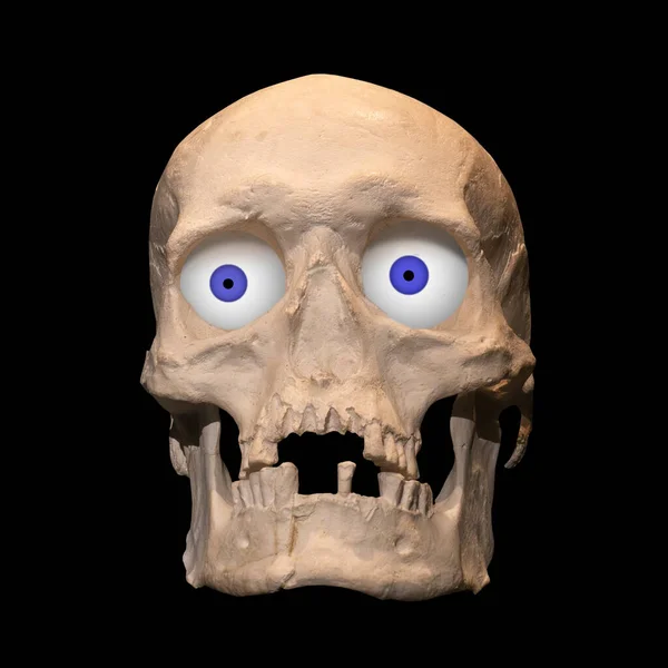 Vista Frontal Del Cráneo Humano Aislado Negro —  Fotos de Stock