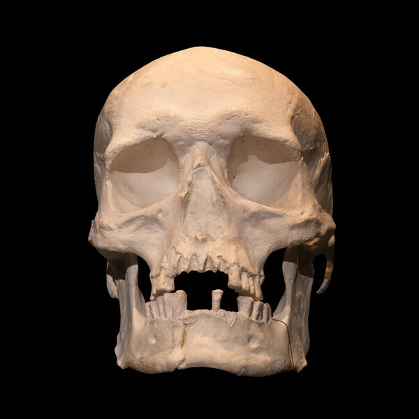 Front view of human skull, isolated on black