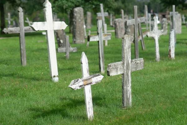 Starożytny Cmentarz Wieloma Wietrznymi Drewnianymi Krzyżami Grzyb Zielonej Trawie — Zdjęcie stockowe