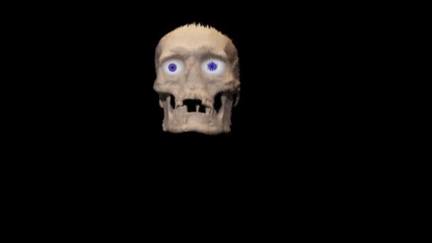 Skull Black Background Appearing Quickly Ending Shaky Closeup Blue Eyes — Stock Video
