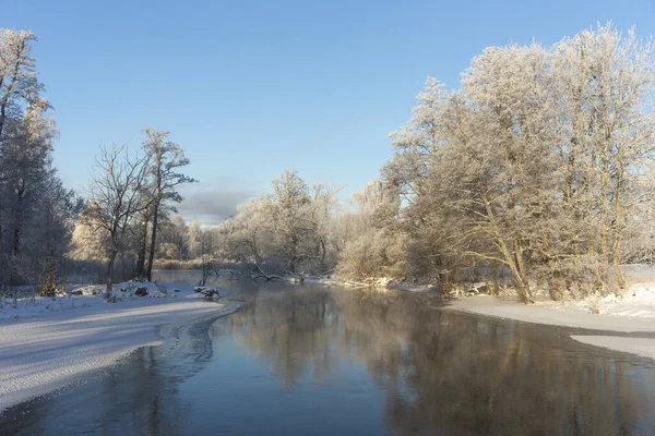 Río Frío Día Invierno Con Árboles Cubiertos Nieve Heladas Reflejados Imagen De Stock