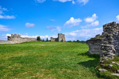 Yazın Ukrayna 'da eski bir şatonun kalıntıları.
